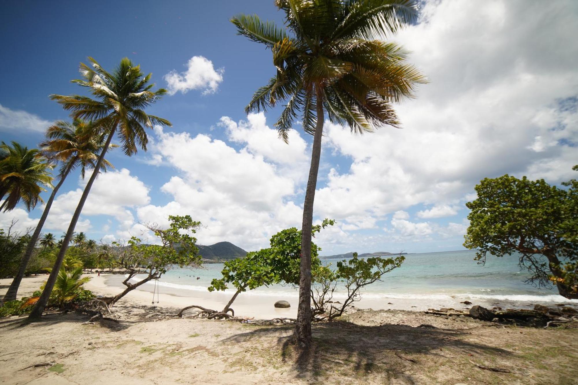 Felix, T2 Acces Plage Gros-Raisins Sainte-Luce Exterior photo